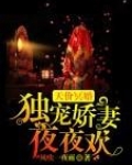 天價冥婚：獨寵嬌妻夜夜歡