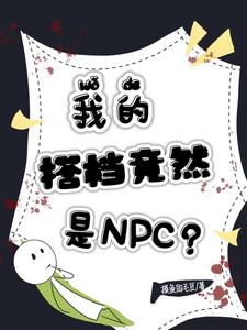 我的搭檔竟然是NPC？