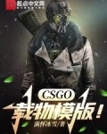 CSGO：載物模版！