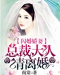 閃婚嬌妻：總裁大人請離婚