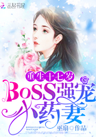 重生十七歲：BOSS強寵小藥妻