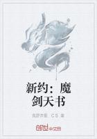 新約：魔劍天書